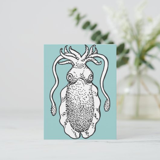 イカ ポストカード (スタンド正面)