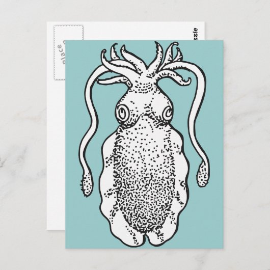 イカ ポストカード (正面/裏面)