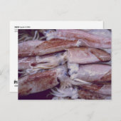 イカ ポストカード (正面/裏面)