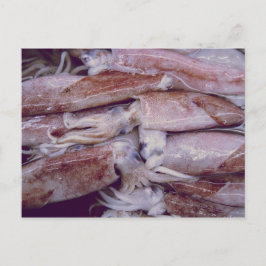 イカ ポストカード