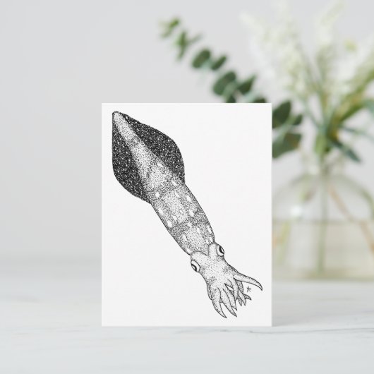 イカ ポストカード (スタンド正面)