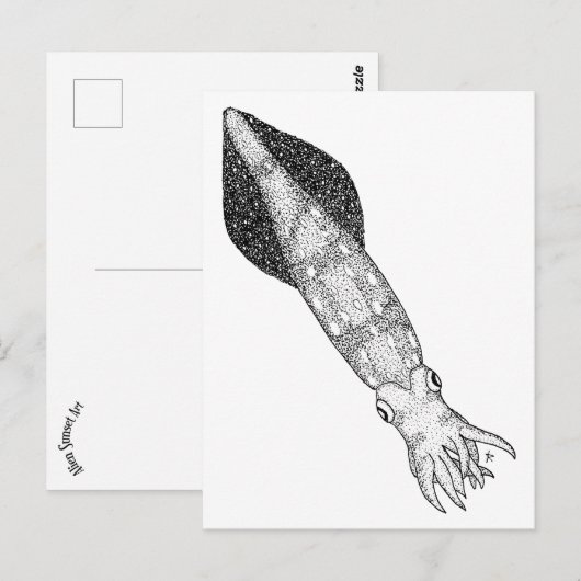 イカ ポストカード (正面/裏面)