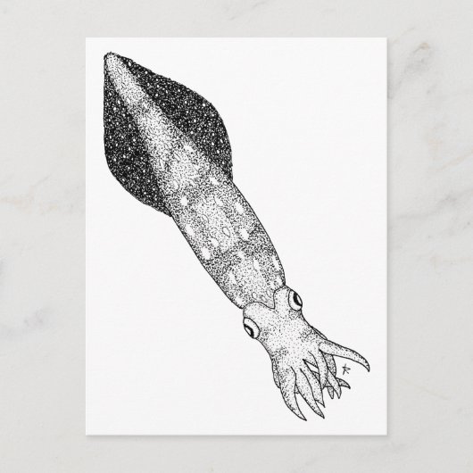 イカ ポストカード (正面)