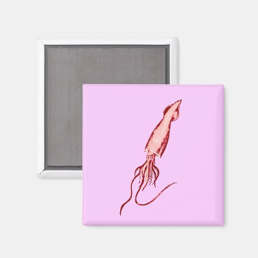 イカ マグネット (正面/裏面)