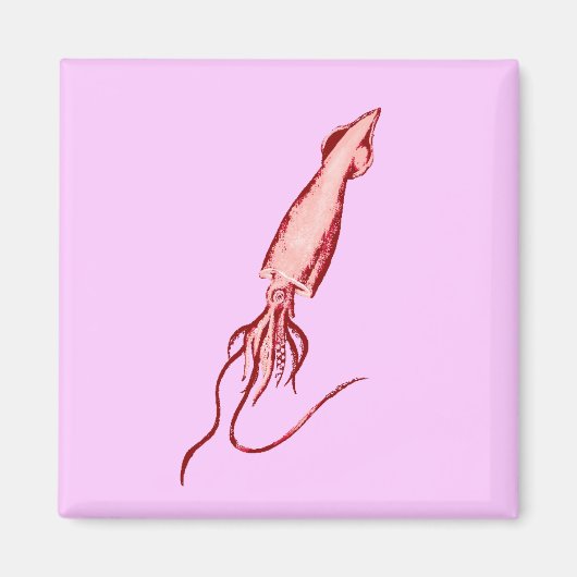 イカ マグネット (正面)