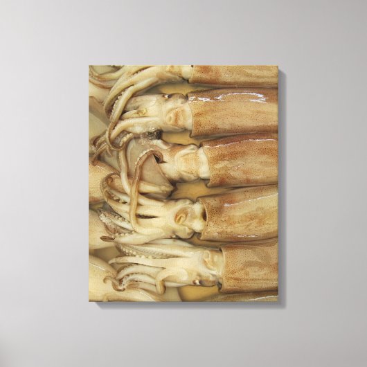 イカ – Calamari キャンバスプリント (正面)