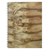 イカ – Calamari ノートブック (正面)