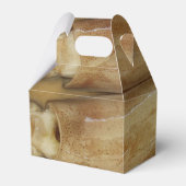 イカ – Calamari フェイバーボックス (正面サイド)