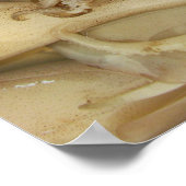 イカ – Calamari ポスター (角)