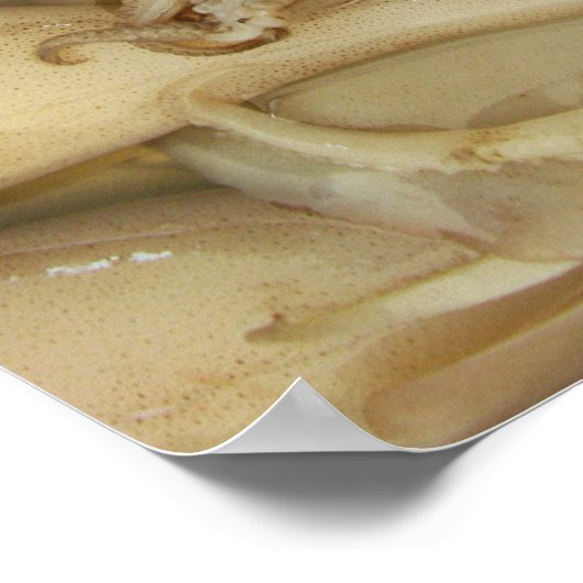 イカ – Calamari ポスター (角)