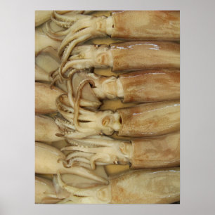 イカ – Calamari ポスター