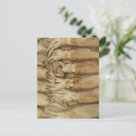 イカ – Calamari ポストカード (スタンド正面)