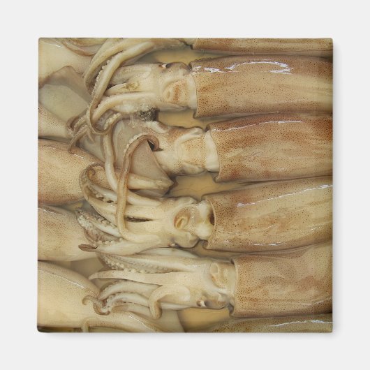 イカ – Calamari マグネット (正面)