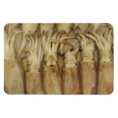 イカ – Calamari マグネット (横)