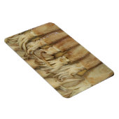 イカ – Calamari マグネット (右側)