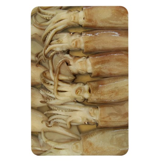 イカ – Calamari マグネット (縦)