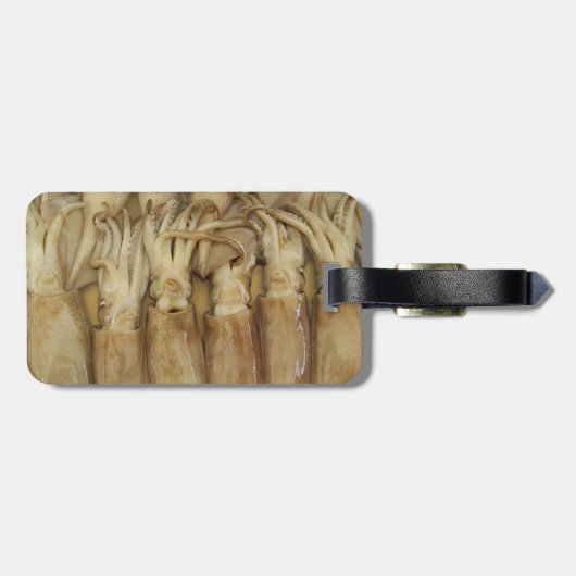 イカ – Calamari ラゲッジタグ (裏面横)