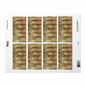 イカ – Calamari ラベル (フルシート)