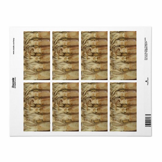 イカ – Calamari ラベル (フルシート)