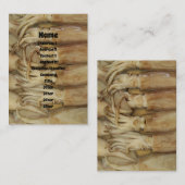 イカ – Calamari 名刺 (正面/裏面)