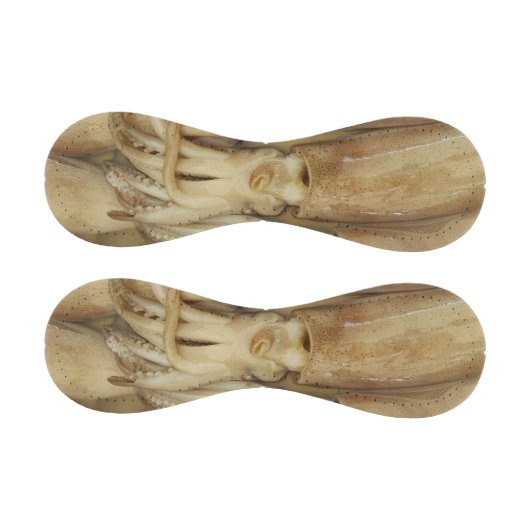 イカ – Calamari 野球ボール (パネル)