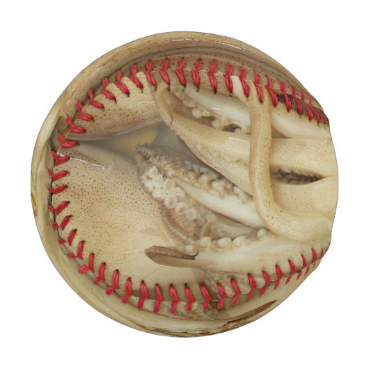 イカ – Calamari 野球ボール (正面左)