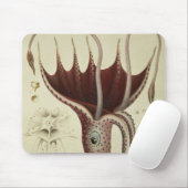 イカ、「Histoire NaturelleからのPl.2 マウスパッド (マウス)