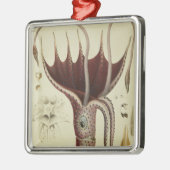 イカ、「Histoire NaturelleからのPl.2 メタルオーナメント (左)