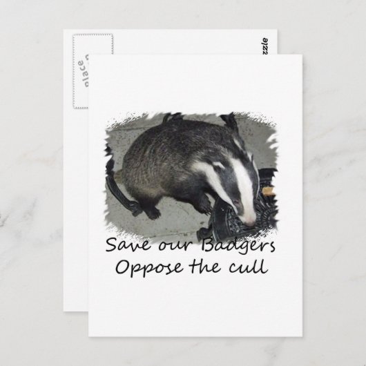 イギリスのアナグマを救おう。アナグマの殺処分に反対しよう ポストカード (正面/裏面)