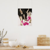 イギリスのアルパインヤギ(子供)を飼いならした。ブラック ポスター (キッチン)