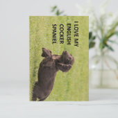 イギリスのコッカースパニエル犬と写真 サンキューカード (スタンド正面)