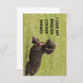 イギリスのコッカースパニエル犬と写真 サンキューカード (正面/裏面)