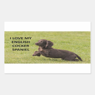 イギリスのコッカースパニエル犬と写真 長方形シール