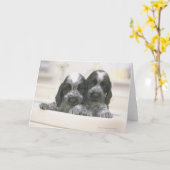 イギリスのコッカースパニエル犬は犬の品種だ。それ カード (黄色い花)