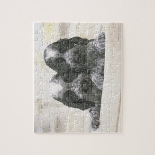 イギリスのコッカースパニエル犬は犬の品種だ。それ ジグソーパズル (縦)