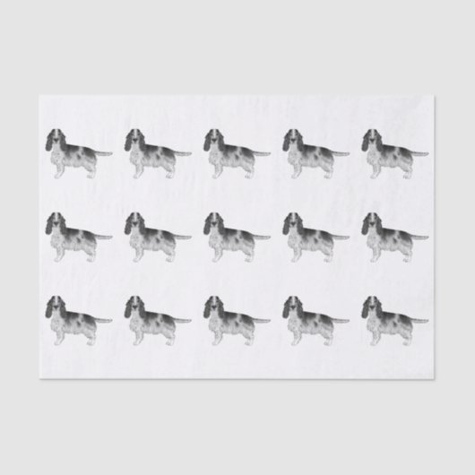 イギリスのコッカースパニエル犬（白黒） 薄葉紙 (正面)