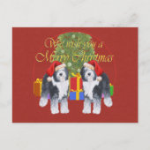 イギリスのシェプドッグクリスマス シーズンポストカード (正面)