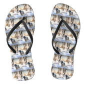 イギリスのセッターが雪のクリスマスを過ごす ビーチサンダル (ソール)