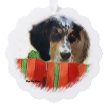 イギリスのセッタークリスマス