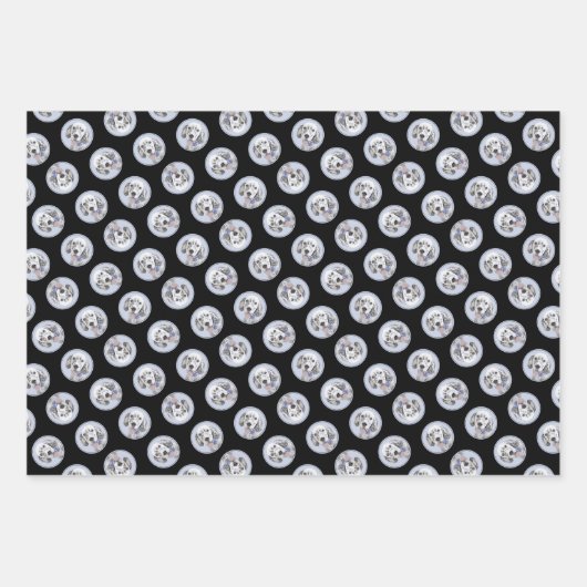 イギリスのセッターブルー絵を描ベルトンのペットドッグアート ラッピングペーパーシート (正面3)