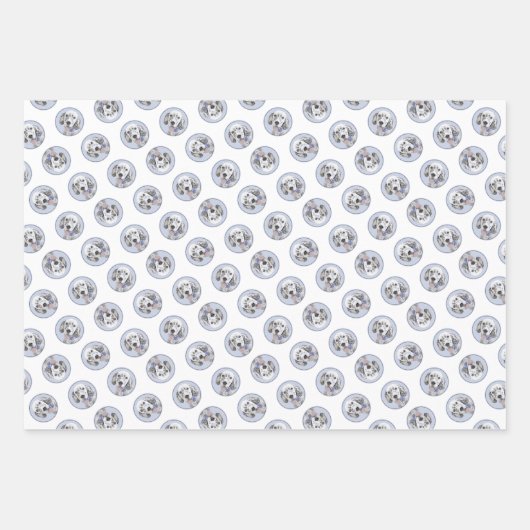 イギリスのセッターブルー絵を描ベルトンのペットドッグアート ラッピングペーパーシート (正面2)