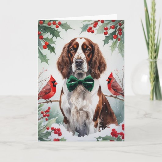 イギリスのセッター犬のクリスマスグリーティング カード (正面)