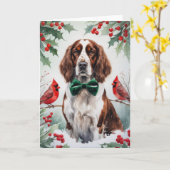 イギリスのセッター犬のクリスマスグリーティング カード (黄色い花)