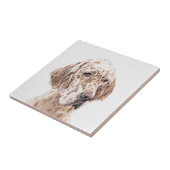 イギリスのセッター、オレンジ・絵画ベルトンの犬芸術 タイル (側面)