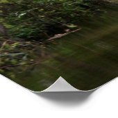 イギリスのデボン州ティヴァートン運河 ポスター (角)