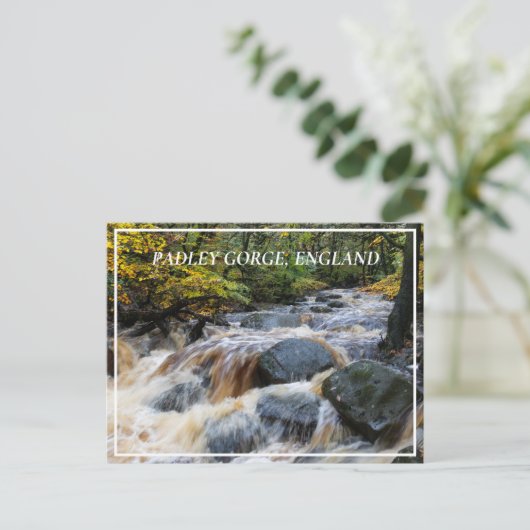 イギリスのパドレー渓谷のフルスパートでバーベッジブルック ポストカード (スタンド正面)