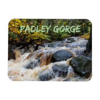 イギリスのパドレー渓谷のフルスパートでバーベッジブルック マグネット