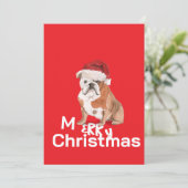 イギリスのブルドッグでサンタ・ハット・メリー・クリスマスレッド (スタンド正面)
