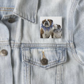 イギリスのブルドッグとジェスターカラーを着た子犬 缶バッジ (インサイチュ)