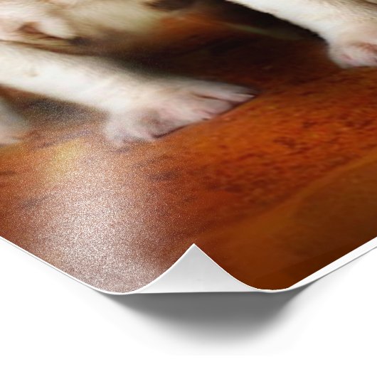 イギリスのブルドッグの子犬が本当にかわいい フォトプリント (角)